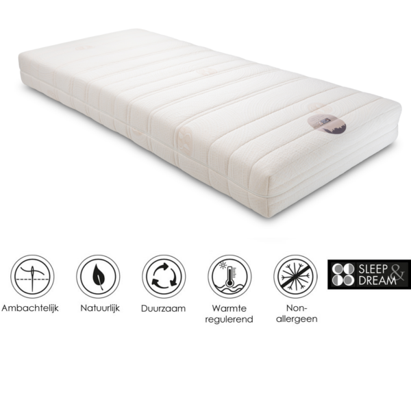 Regulatex King h950up+