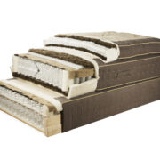 Doorsnede Eco Passion